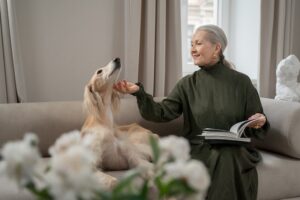 dog owner in a green dress petting their dog under its chin