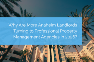 Professional property management agencies