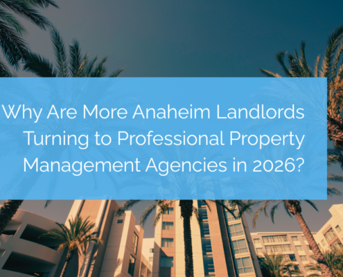 Professional property management agencies
