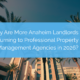 Professional property management agencies