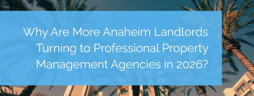 Professional property management agencies
